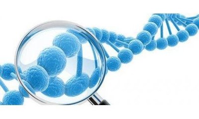 双十一消费级基因检测销量创新高，基因检测正走入寻常百姓家