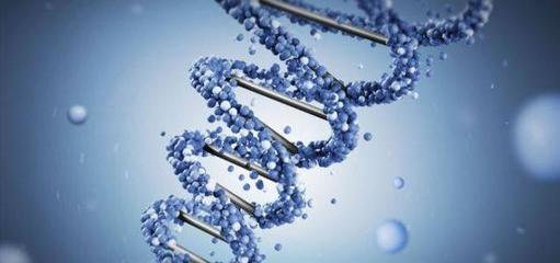 天才能测出来？！几千元一次的天赋基因检测，到底有多靠谱？