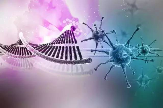 基因检测 定义、意义与适用人群