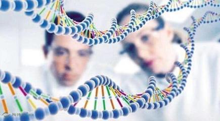 癌症基因检测 为何成为健康领域的焦点？